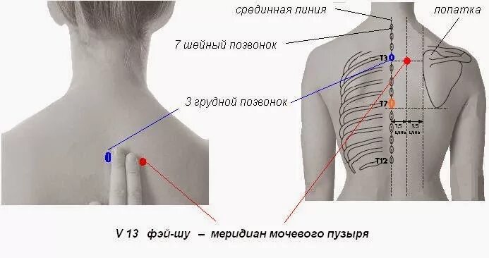 1 июля точках. Точка v43 Гао-Хуан. V-43 Гао-Хуан-Шу. Акупунктурная точка Гао-Хуан v43. Th5-th12 позвонка.