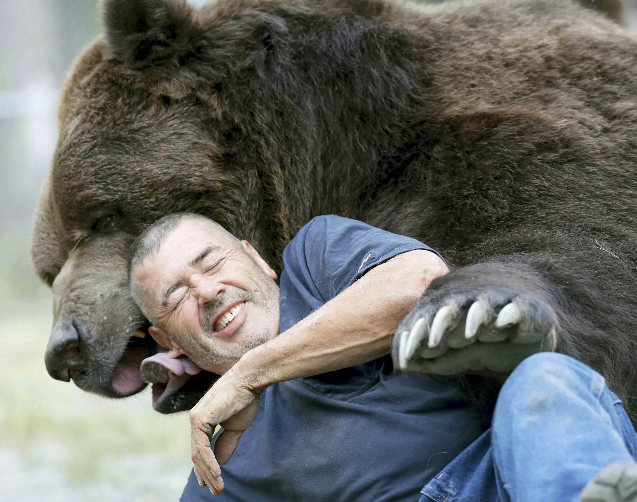 Какие медведи крупнее. Джим и Джимбо. Медведь Кадьяк самый большой в мире. Джим Ковальчик. Джим Ковальчик и медведь.