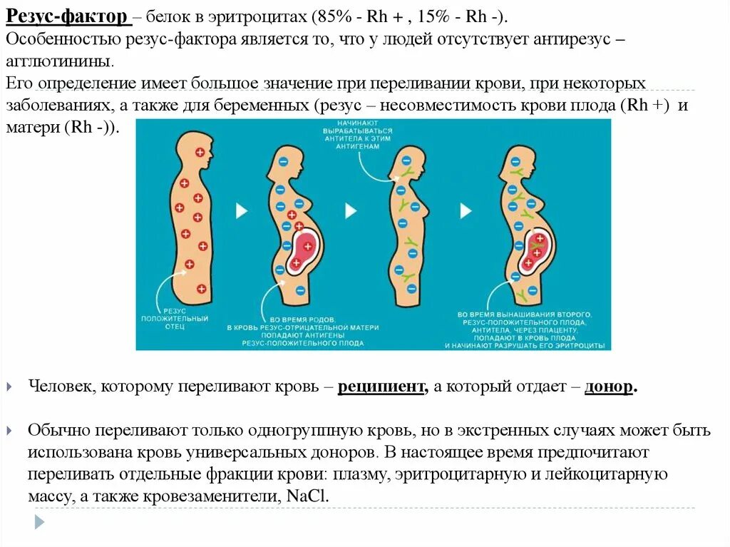 Определите резус фактора крови человека. Резус фактор крови определяется. Резус-фактор крови отрицательный. Резус отрицательная кровь. Что означает резус фактор