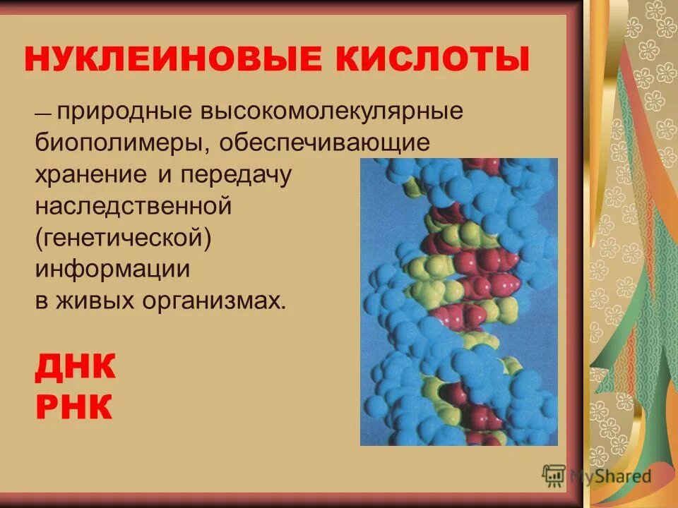 мономеры полимеры биополимеры. нуклеиновые кислоты презентация. что относится к макромолекулам. нуклеиновые кислоты относятся к биополимерам. нуклеиновые кислоты относятся к биополимерам.
