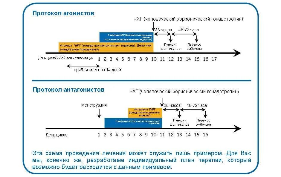 Через сколько после стимуляции. Длинный протокол эко схема. Протокол стимуляции овуляции для эко. Стимуляция овуляции короткий протокол эко. Длинный протокол эко по дням схема с препаратами.