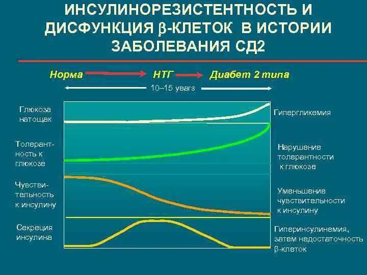 Инсулинорезистентность симптомы у мужчин. Инсулинорезистентность. Инсулинорезистентность показатели инсулина. Инсулинорезистентность это диабет. Заболевания связанные с инсулинорезистентностью.