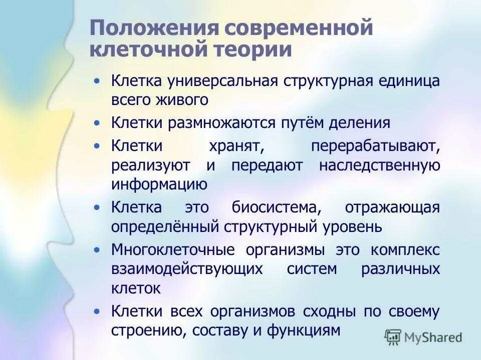 Современные теории значения. Положения современной клеточной теории. Основные положения клеточной теории. Современные положения клеточной теории кратко. Назовите основные положения современной клеточной теории..