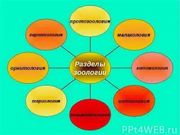 Териология это наука
