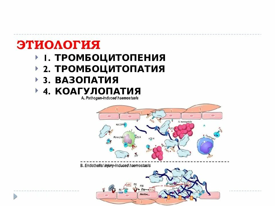 Патофизиология гемостаза