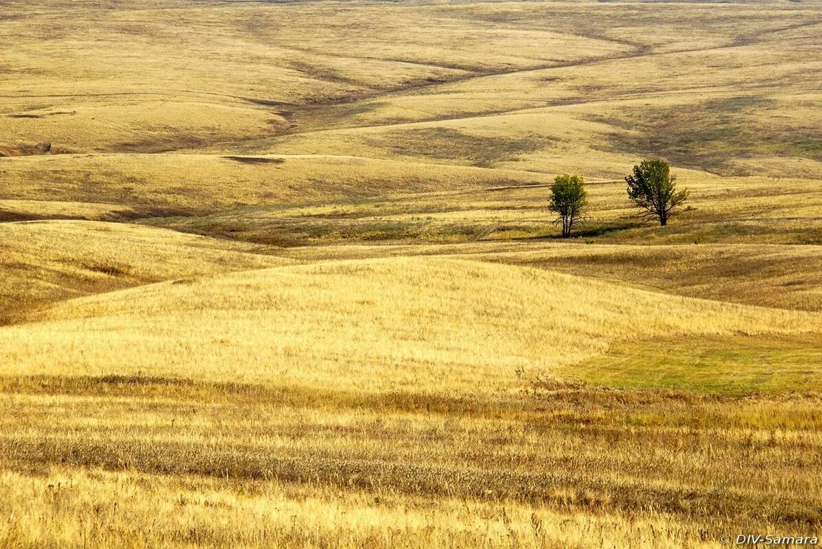 Степные холмы. Пшеничный штат Канзас. Степи Самарской области. Канзас степь. Степи Поволжья.