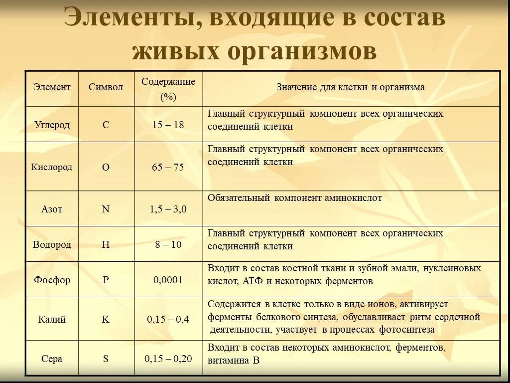 Свойства и значения элементов