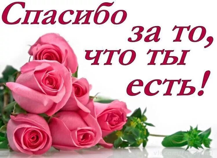 Спасибо за то что ты есть. Спасибо тебе за то что ты есть. Спасибо за то что ты есть у меня картинки. Открытки спасибо за то что ты есть у меня.