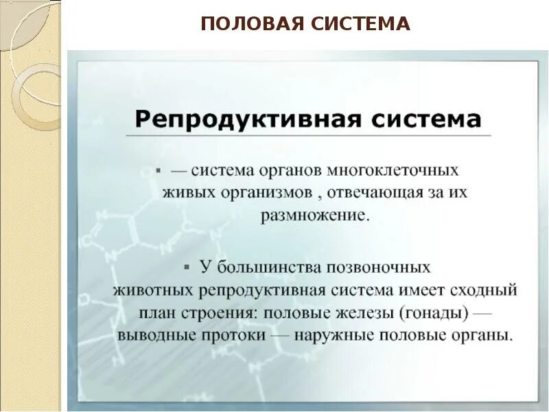 Что составляет его основу