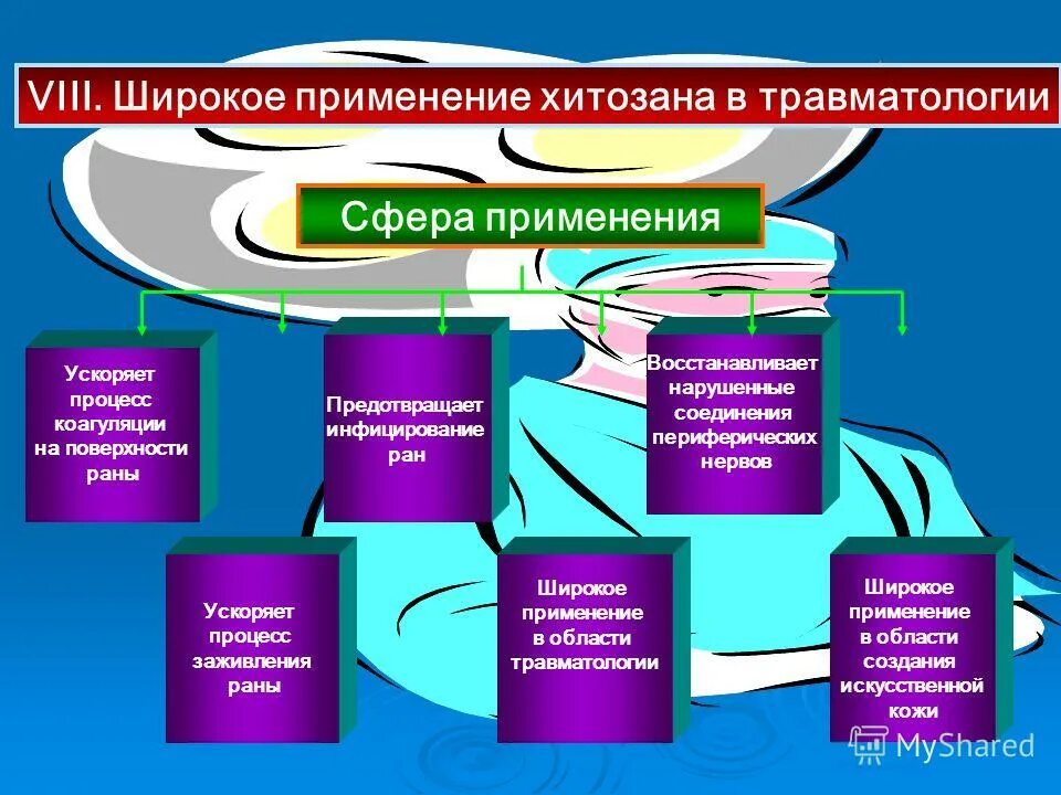 Сфера применения проекта. Процесс информатизации образования. Сферы использования в широком. Стратегия дифференцированного роста. Заимствования в иностранном языке.