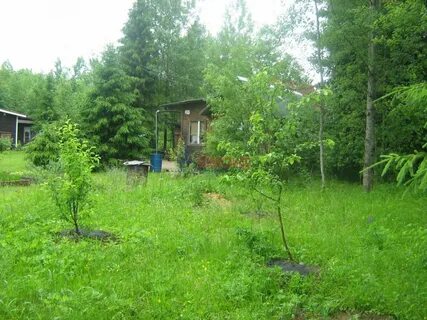 Посадников остров