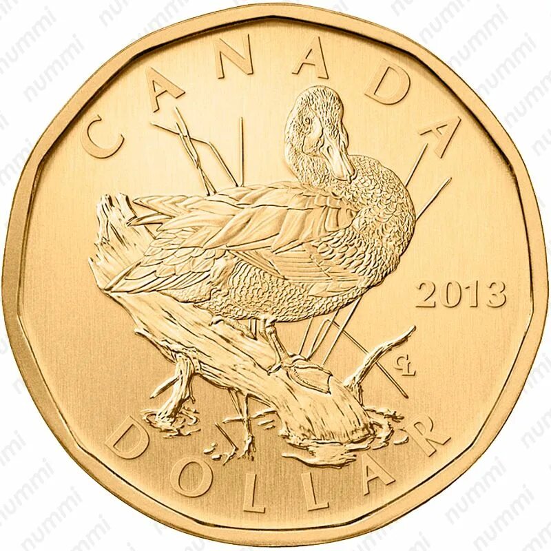 Монеты Канада 1 доллар. Монеты Канады 2 доллара 2003. Монета 50 долларов Канада 2013. Канадский доллар монета.