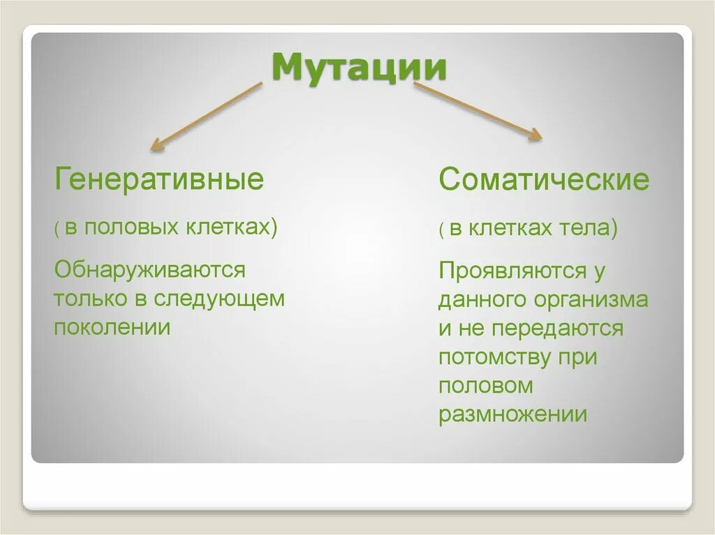 Генеративные люди. Соматические и генеративные мутации. Мутации в половых и соматических клетках. Соматические мутации примеры. Соматические и генеративные мутации примеры.