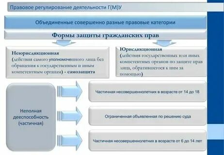 Гражданская процессуальная форма это