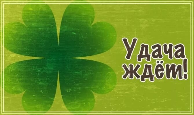 Удача была на твоей стороне