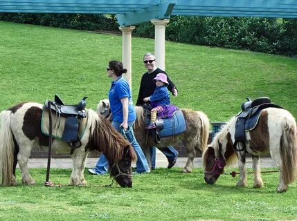 Pony riding