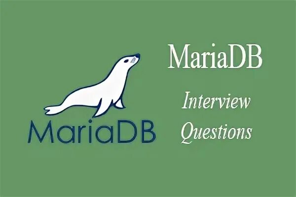 Docker mariadb