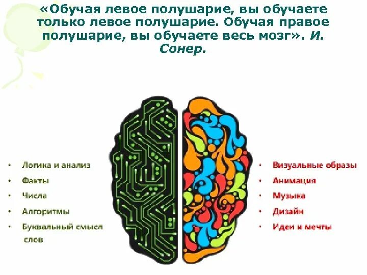 Мозг человека полушария. Правое полушарие головного мозга. За что отвечает правое полушарие. Полушария мозга за что отвечают. Что находится в полушариях мозга