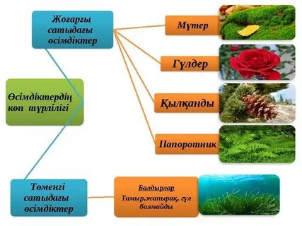 Ғашық қарындас порно онлайн