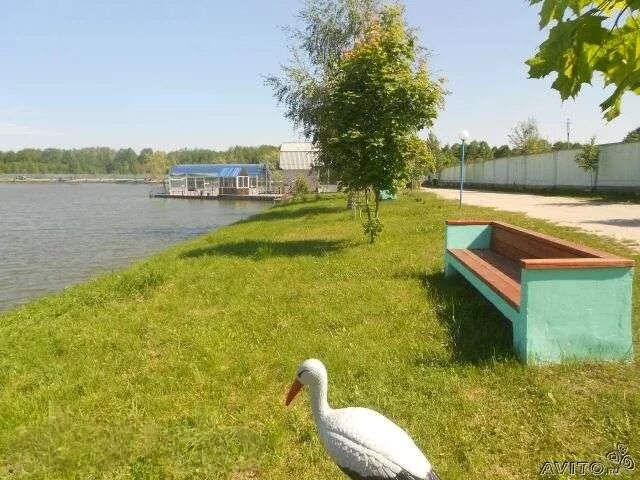 Барсуки брянская область рыбалка. У васильевича брянск база отдыха. Озеро барсуки брянская область. Озеро барсуки брянская область. Буда брянск база отдыха у василича.