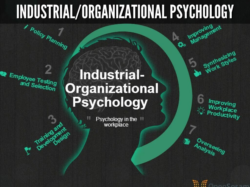 Phd psychology. Organisational psychology. Industrial organization. Psychological methods. Industrial organization.