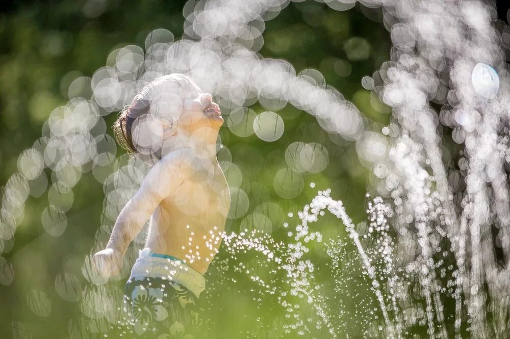 лиса золотой рассвет. полевые цветы залитые солнцем. залитые солнцем слушать. солнце заливает. залитые солнцем слушать.