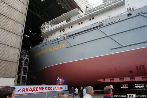 Где сейчас академик ковалев