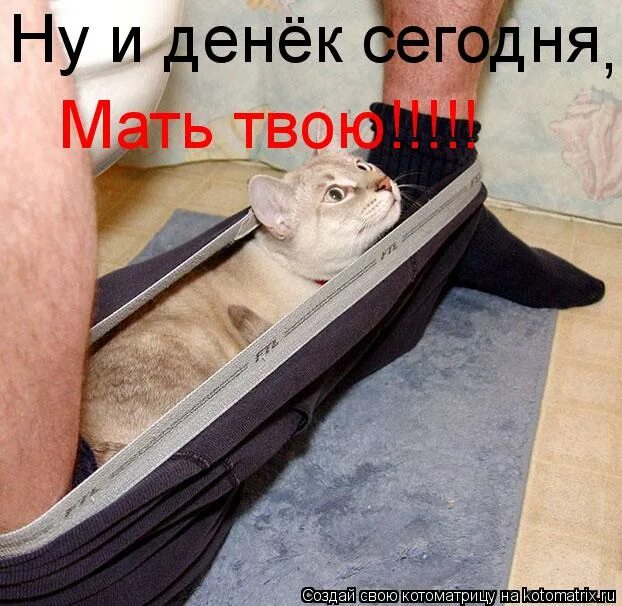 Ну и денёк сегодня выдался. Ну и денек ване предстоит. Ваня пидр. Охотник на монстров ваня 20 уровень. Ну и денек ване предстоит.