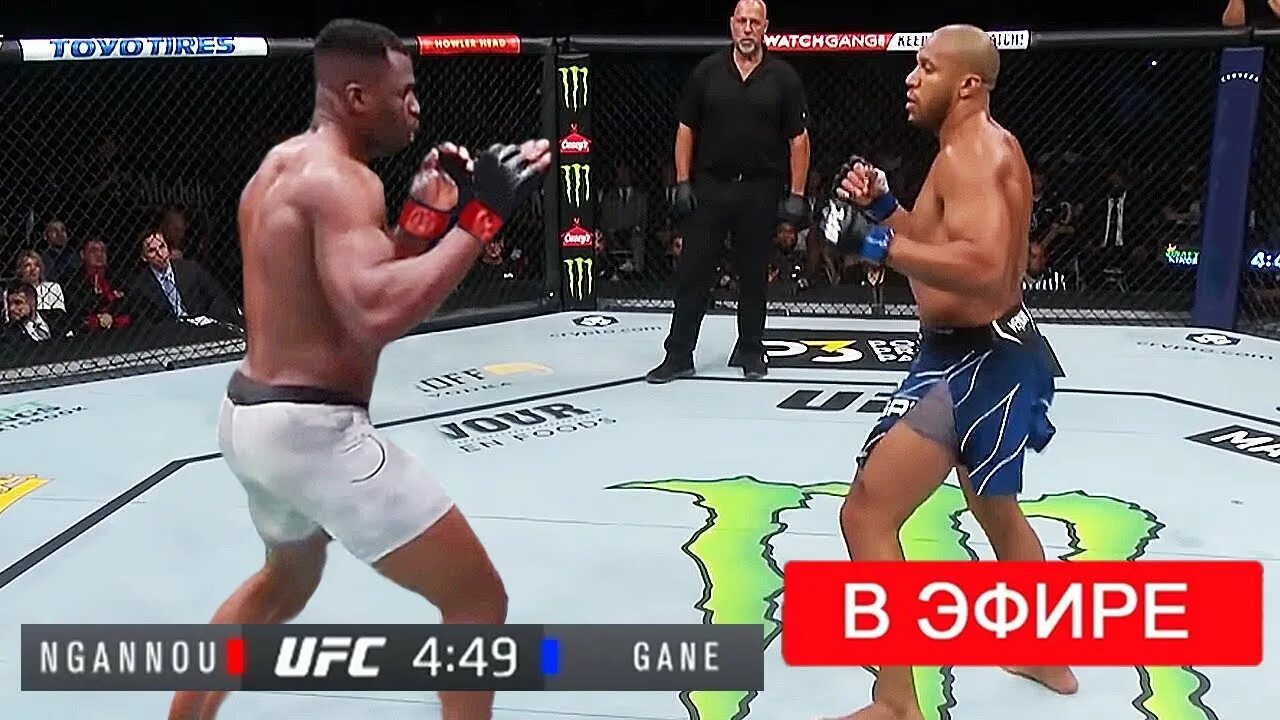 бесплатная трансляция ufc