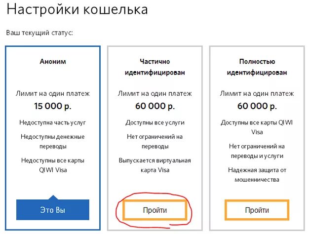 Статус киви кошелька. Статусы QIWI кошелька. Основной статус киви. Статусы киви. Лимиты киви кошелька.