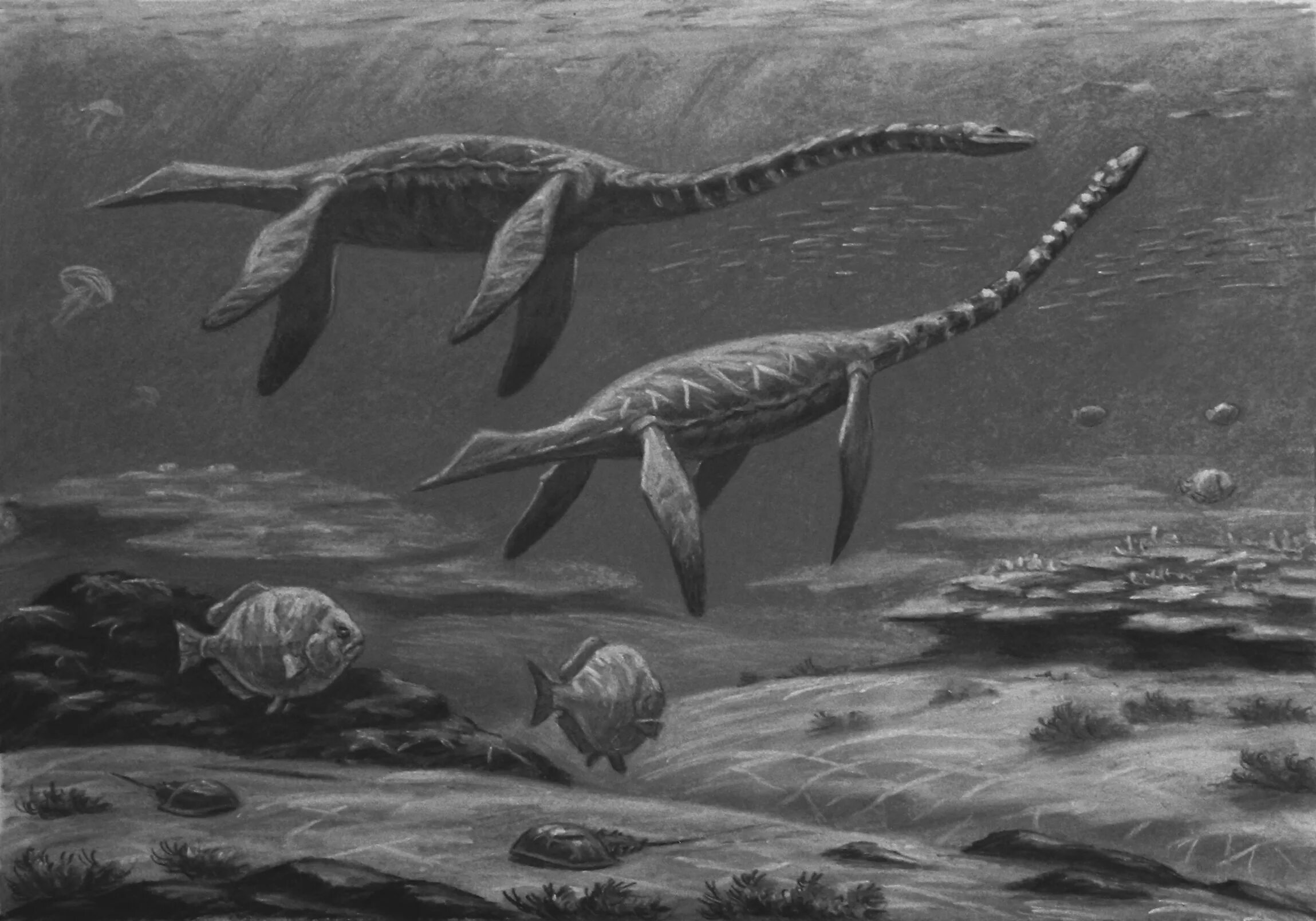 Ихтиозавры вторичноводные. Зденек Буриан. Plesiosaurus dolichodeirus. Зденек Буриан динозавры. Зденек Буриан Пермский период.