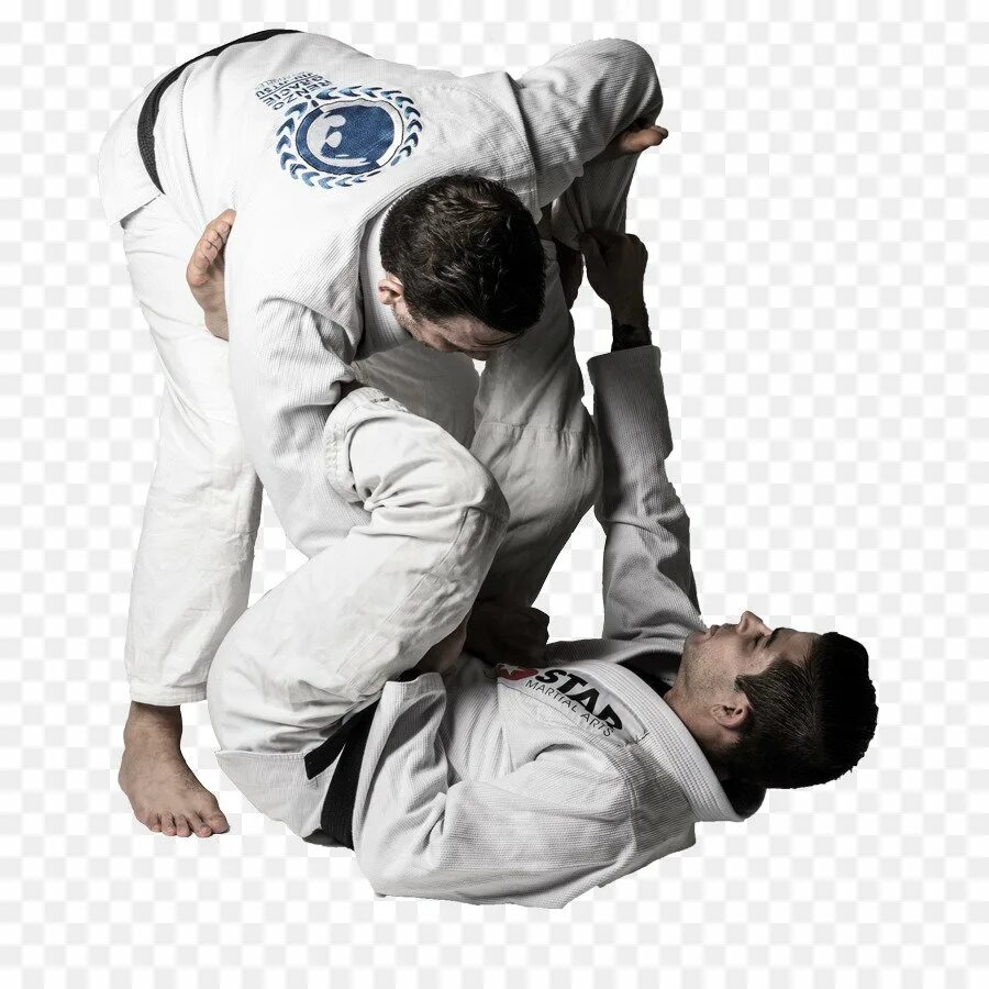 Иппон в дзюдо. Дзю дзюцу. Grappling Renzo Gracie.