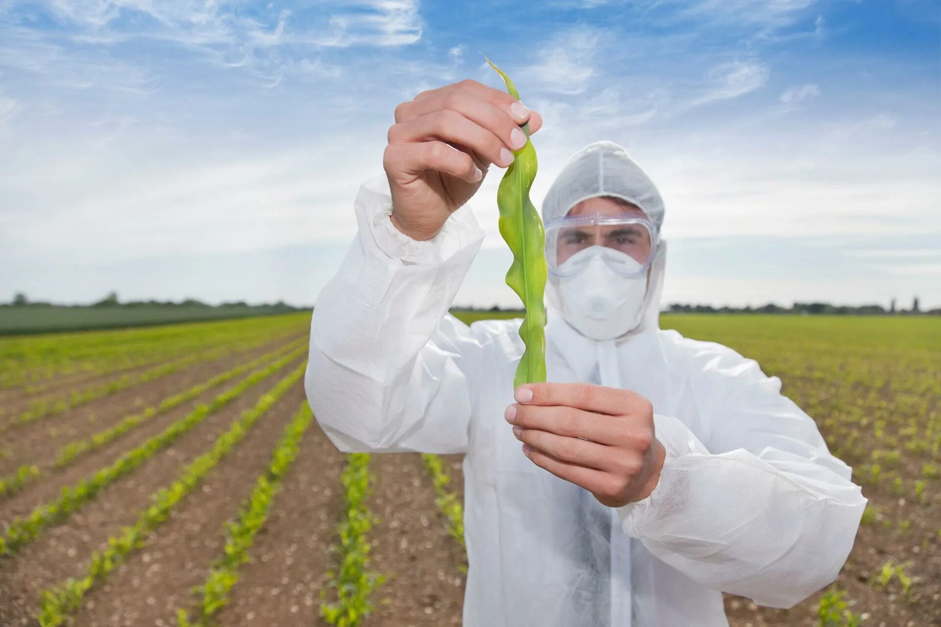Увеличение пестицидов. ГМО В сельском хозяйстве. Генная инженерия в растениеводстве. Генная инженерия в сельском хозяйстве. Ученые сельского хозяйства.