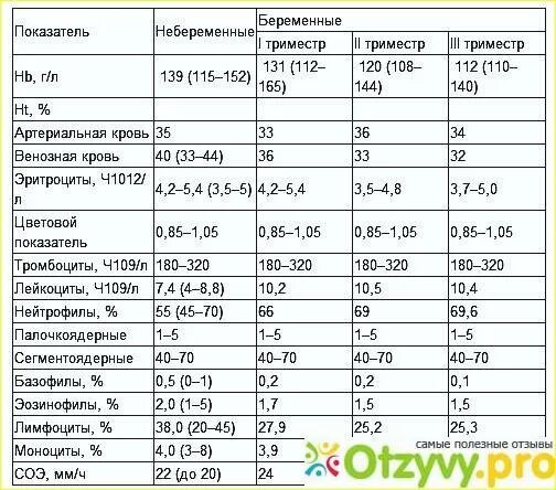 Кровь в третьем триместре. Биохимический анализ крови норма у беременных 2 триместр. Норма белка у беременных 2 триместр. Биохимия крови беременной 3 триместр норма. Нормы общего анализа крови у беременных 2 триместр.