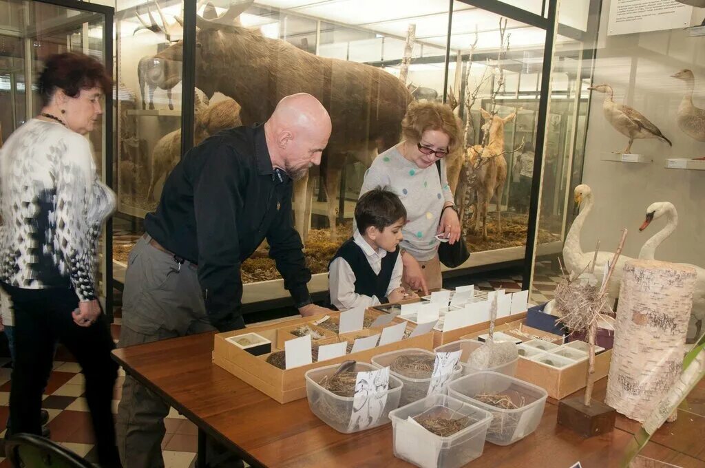 зоологический музей мгу кружка. юный натуралист кружок в школе. экологическое воспитание дошкольников. юный натуралист кружок. юный натуралист кружок.