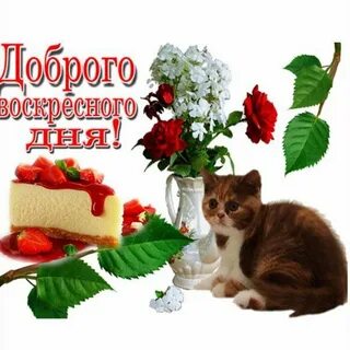 Воскресенье день картинки с надписями