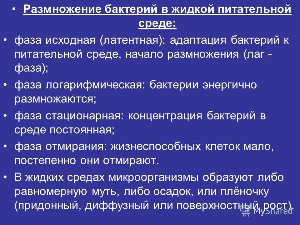 Колонии на чашке петри. Среда размножения микробов. Размножение бактерий в жидкой питательной среде. Размножение бактерий на плотной питательной среде. Фазы размножения бактерий.
