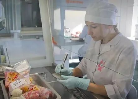 Экспертиза мяса птицы