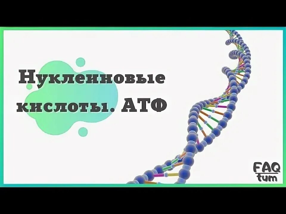 Нуклеиновые кислоты ЕГЭ биология. Нуклеиновые кислоты ЕГЭ. Нуклеиновые кислоты задания ЕГЭ биология. Задание ЕГЭ биология АТФ.