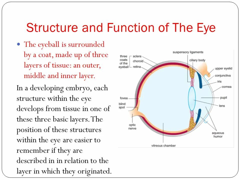 Inner function