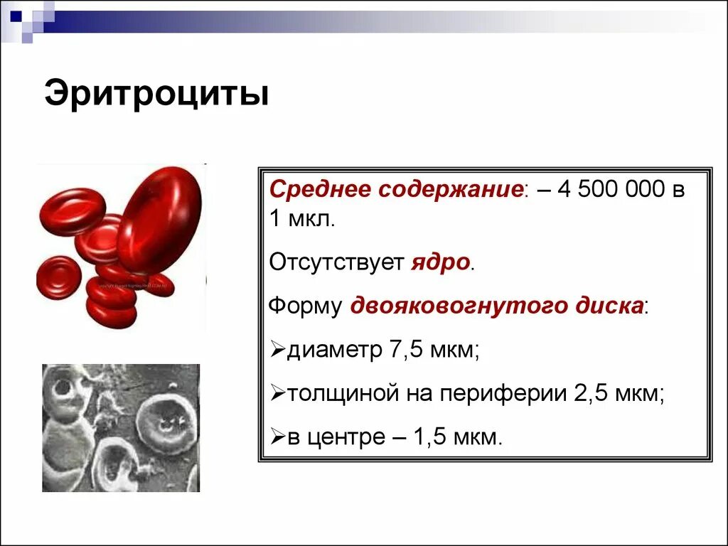 Эритроциты что это. Эритроциты форма двояковогнутого диска. Форма ядра эритроцита. Эритроциты здорового человека. Эритроциты мкл.