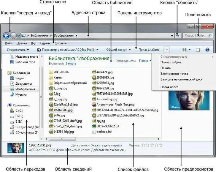 Проводник изменился. Окно программы проводник Windows 7. Интерфейс проводника Windows 7. Структура окна проводника Windows 7. Структура проводника Windows 7.