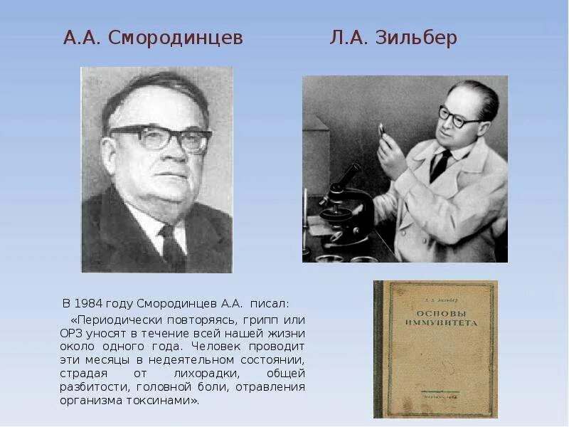 Смородинцев вклад в микробиологию. Смородинцев микробиология. Смородинцев вклад в медицину. Смородинцев грипп