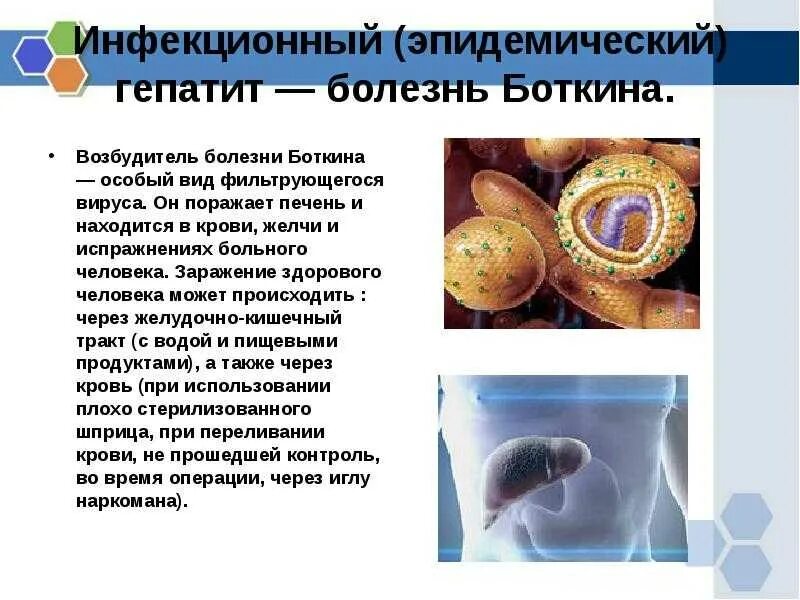 Какой гепатит инфекционный. Пути передачи гепатита а болезнь Боткина. Инфекционный гепатит болезнь Боткина возбудитель. Болезнь Боткина источник заражения. Гепатит а болезнь Боткина.