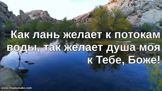 Как лань желает к воде. Как лань желает. как лань желает к потокам.
