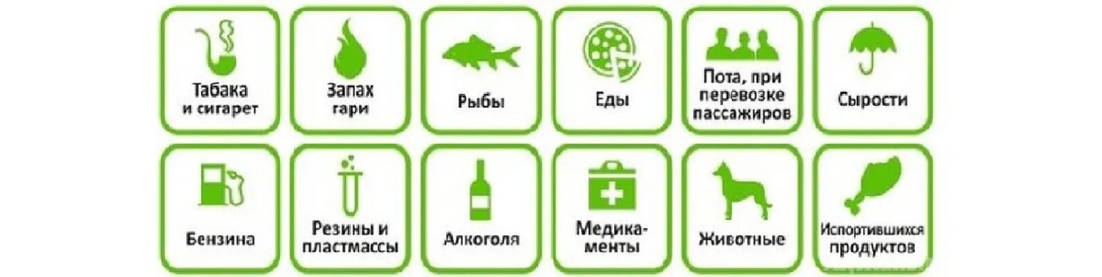 Что означает вкусно пахнет биология. Мойка баннер сухой туман. Breesal aqua-нейтрализатор запаха освежающий микс 375мм. Устранение неприятных запахов. Озонирование помещений и авто.