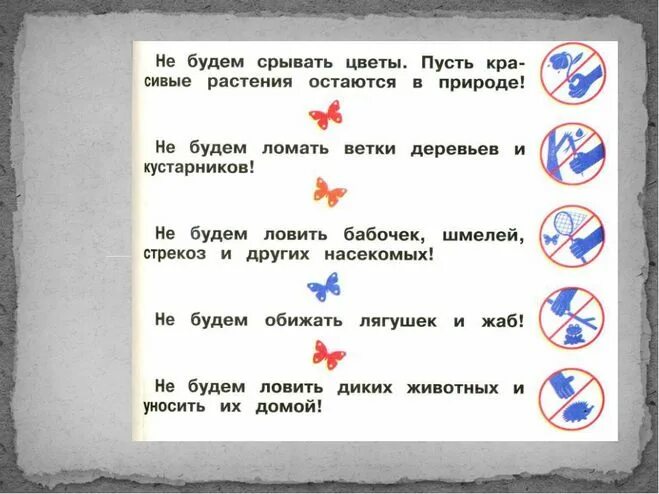 Знаки друзей природы 3 класс. Составить правила друзей природы. Знаки природы окружающий мир 2. Условные знаки природы. Сформулируйте правила к условным знакам