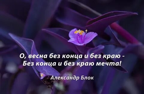 Хватит без конца