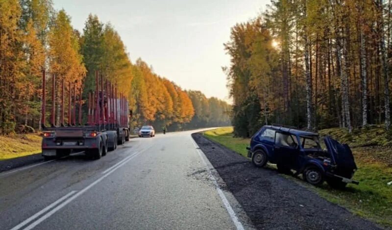 Подслушано в карелии в контакте. Трасса Вологда Медвежьегорск. Трасса Медвежьегорск Петрозаводск. В Карелии Медвежьегорск в Карелии. Трасса Мирный Медвежьегорск.