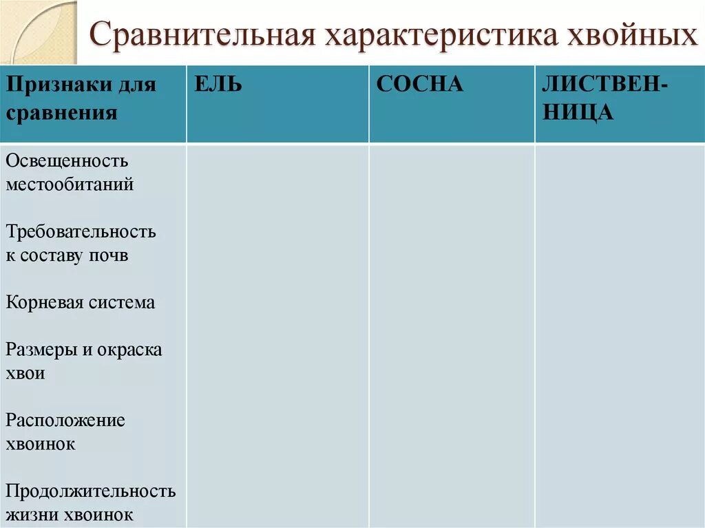 Сравнительная характеристика хвойных. Таблица сравнительная характеристика хвойных. Сравнительная характеристика хвойных растений таблица. Сосна сравнительная характеристика. Таблица хвойных